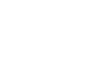 Georgia_logo_whiteout