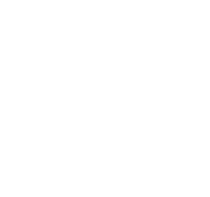 Wallabies-whiteout
