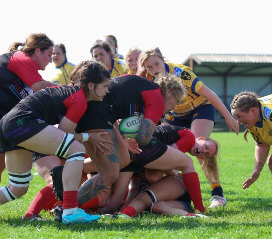 457321511_499219476181776_2387585572042107839_n