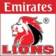 Lions-Logo_Original-Image_m2815-300×300