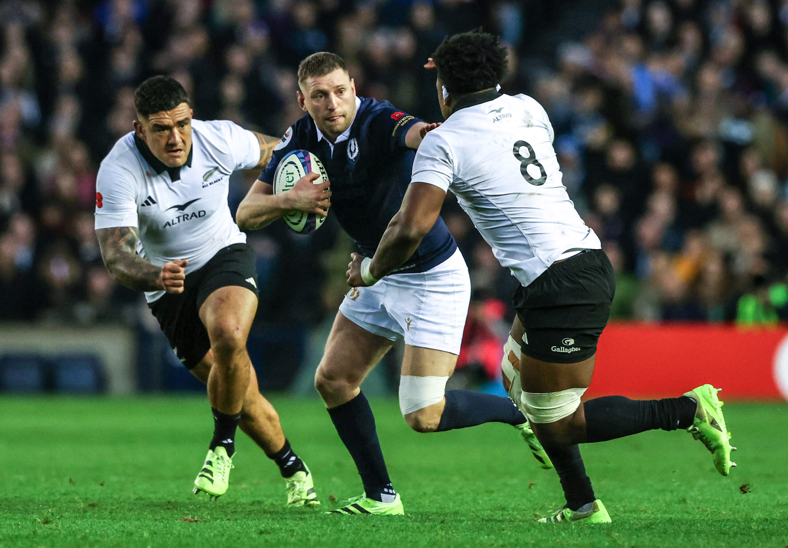 Individual tickets for All Blacks, Wallabies and Japan on sale next week