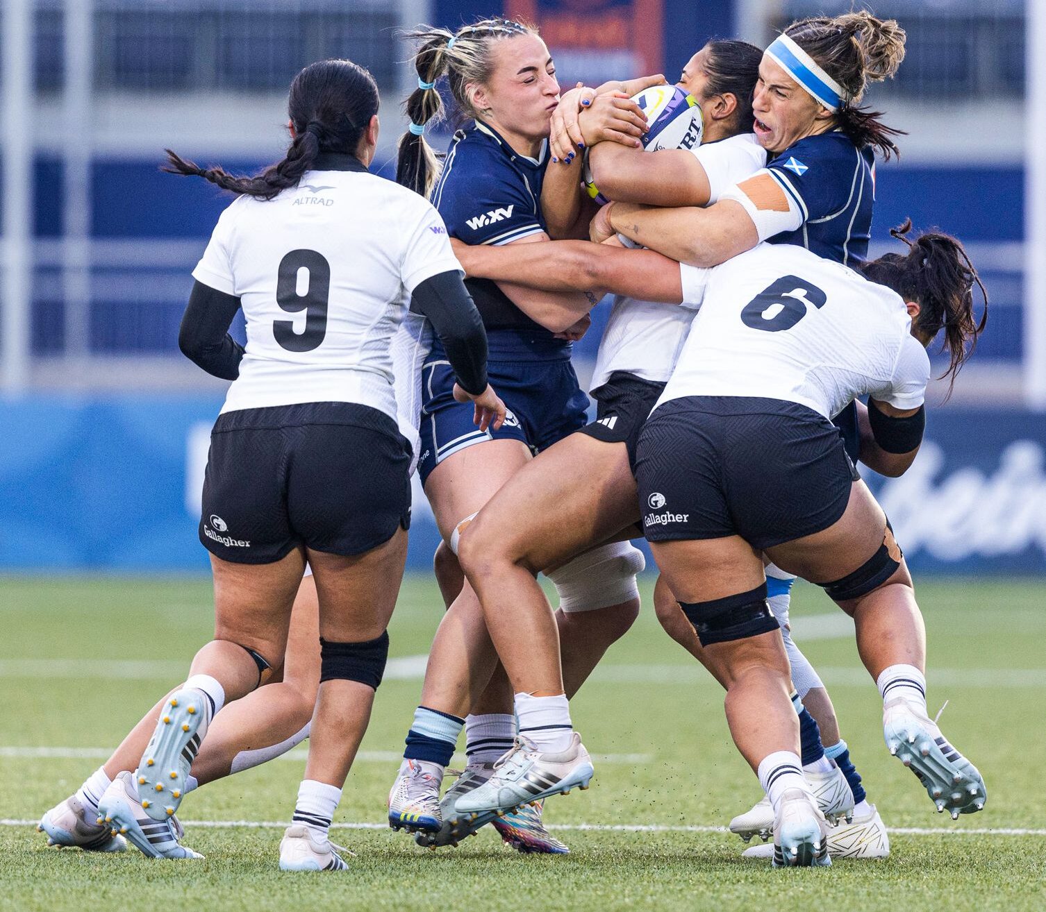 Match Report: Scotland 14-66 New Zealand